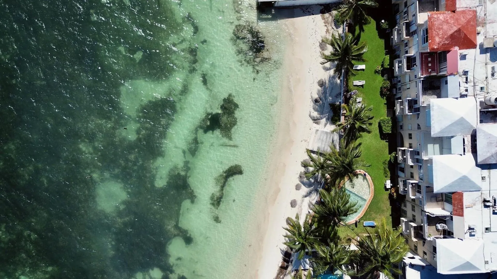 Beautiful Apartment In Cancun Beach Front Ocean View